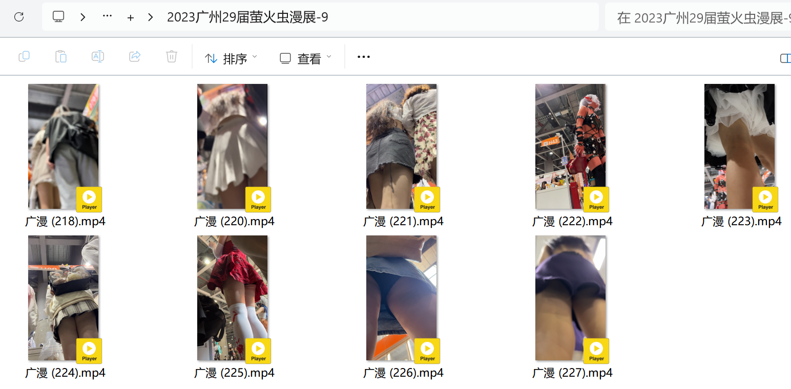 2023广州29届萤火虫漫展-9【2.2G】