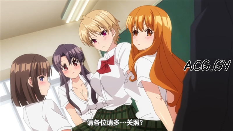 [彗星社] 后宫露营！Harem Camp (1-8完结) 磁力链接