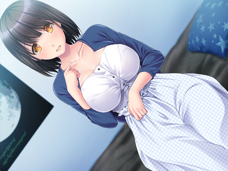 【拔作ADV】巡りくる夏の日は... AI汉化版+全CG存档