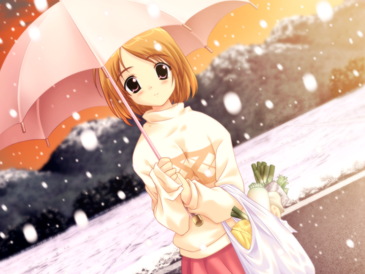 【GAL】雪之华 精翻汉化版