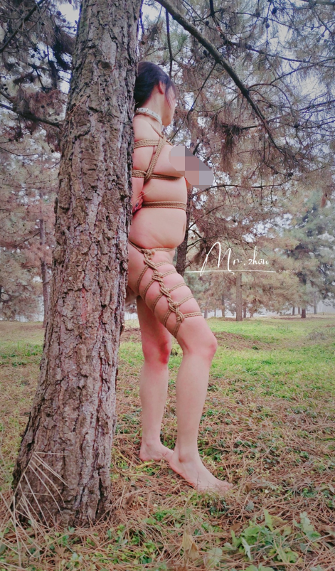 西安BDSM推特大神【周先生】女体调教视图集 【467P32V253M】