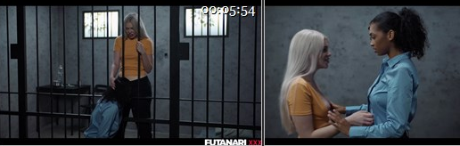 Futanari真人扶她系列107部合集