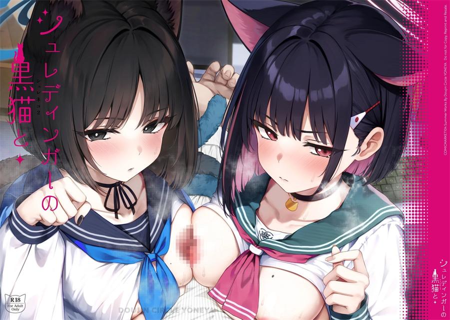 [よねや (俵太)] シュレディンガーの黒猫と2 (ブルーアーカイブ)