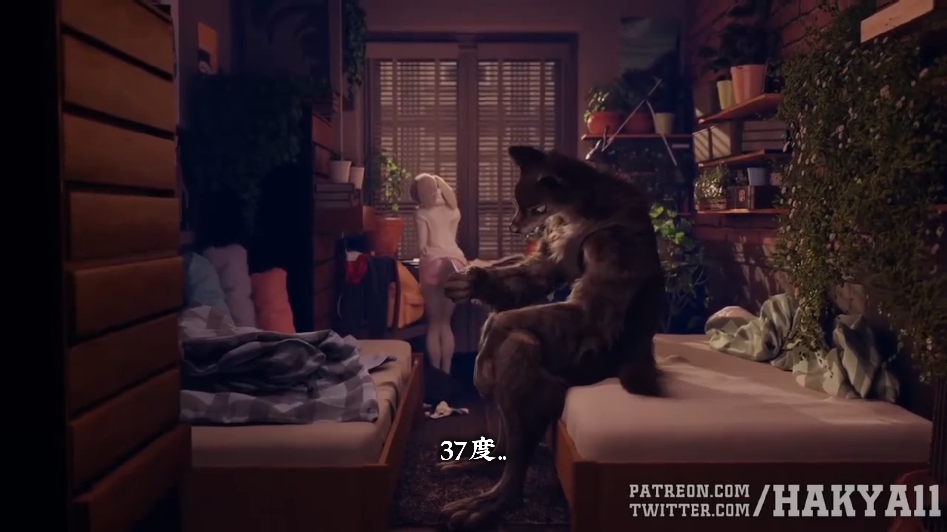 [Hakyall] The Wolf arnd Buny [度盘 1V 972m ]