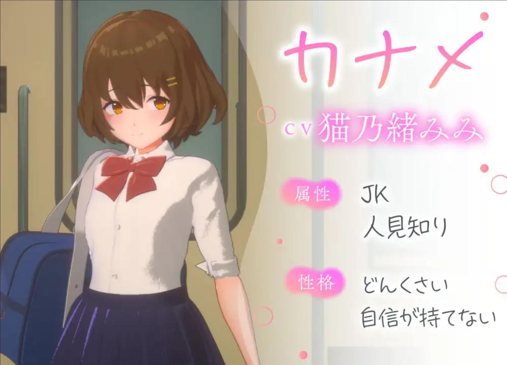 [触摸3D/生肉/堕落/中出]3D痴◯体験 おさわりホーダイ!通学電車編[PC/640M]
