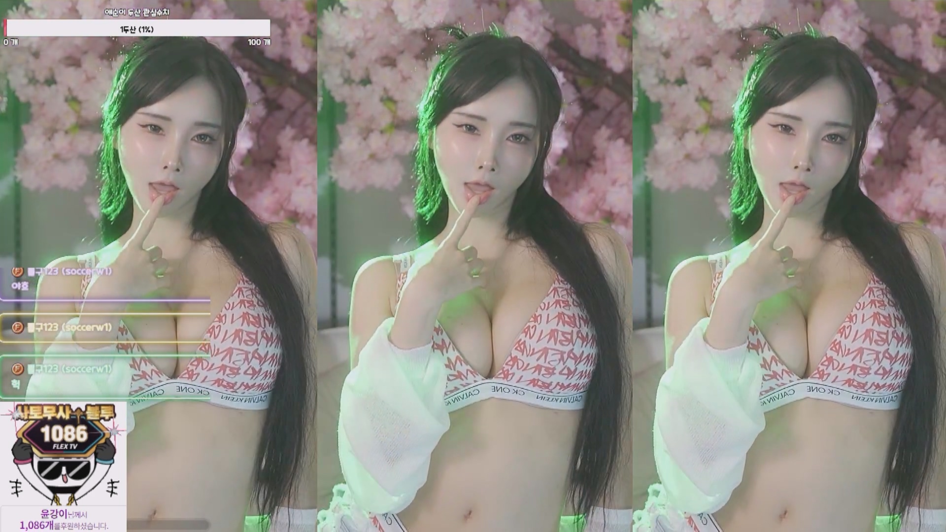 韩国主播aesoon-96-8月-10【1.3G】