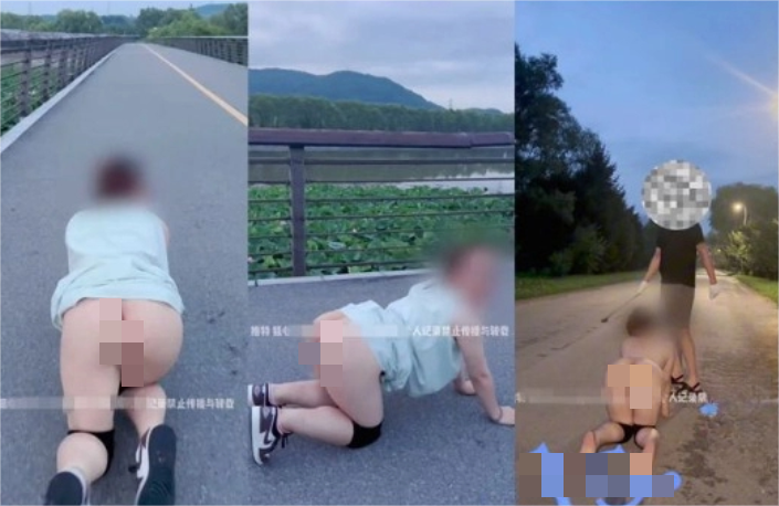 ⭐【狙心Dom】5星指数极限露出 户外犬调教 女女调教福利732M