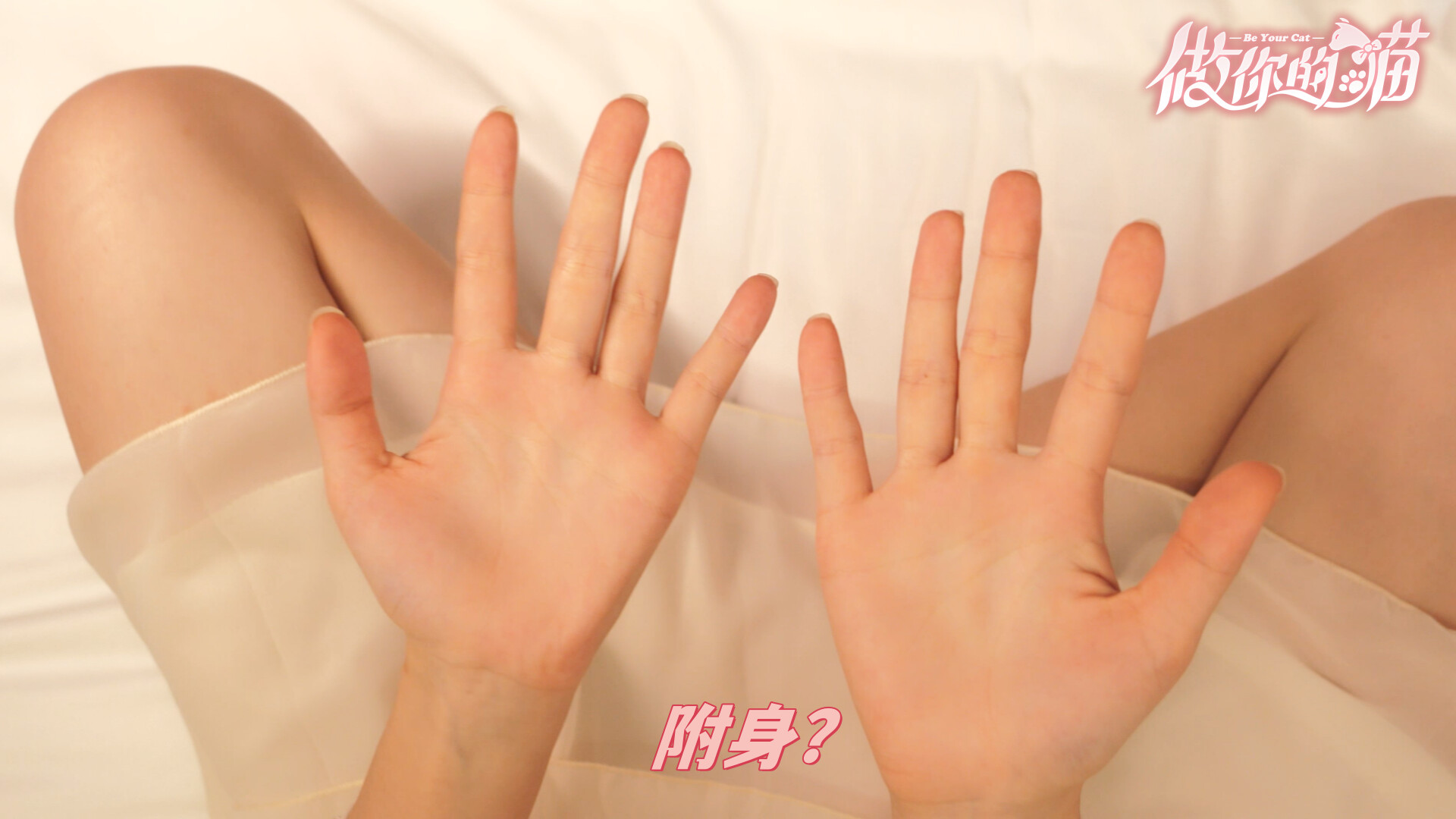 《做你的猫》悬疑题材真人影像游戏,大型情感纠纷现场