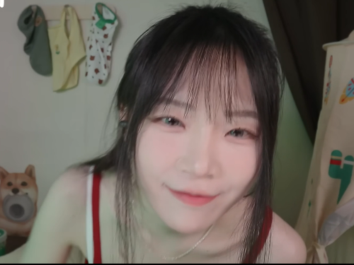 nara_我们要让我们可爱的小狗准备睡觉吗？1V670M百度盘