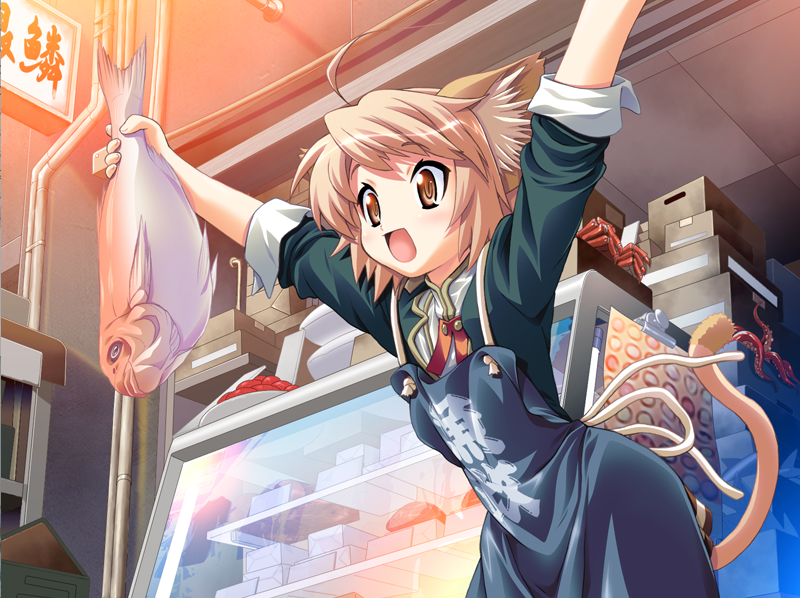 【日式ADV】ZWEI WORTER -ツヴァイウォルター- 日文原版+FD