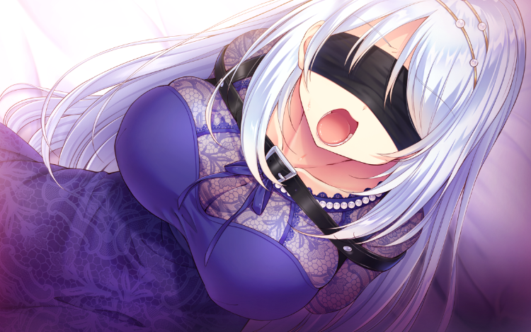 【拔作ADV】檻姫~極嬢の未来は俺のモノ~GPT汉化版