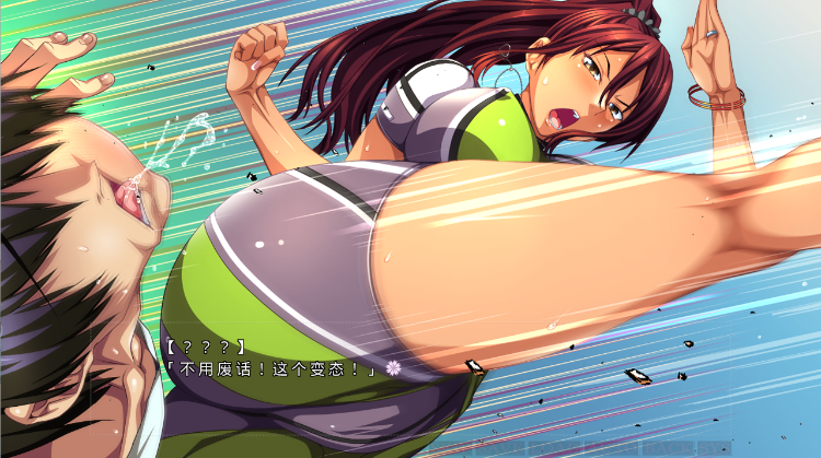 【拔作ADV】元ヤンの奥さんは好きですか~強気な人妻さんとエッチで勝負! セクシー妻もいるよ~GPT汉化版