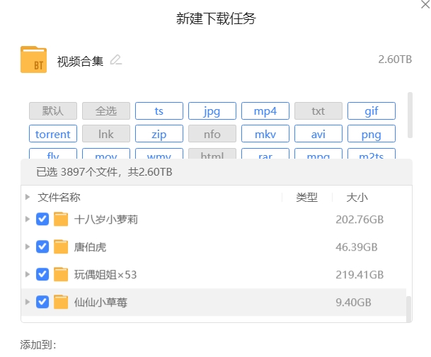 国产福利姬超大合集（2.6T 磁链）