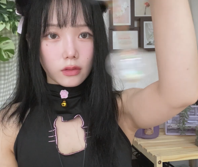 jamonghae快来看看我的猫，也是你的小猫  1V653M百度盘