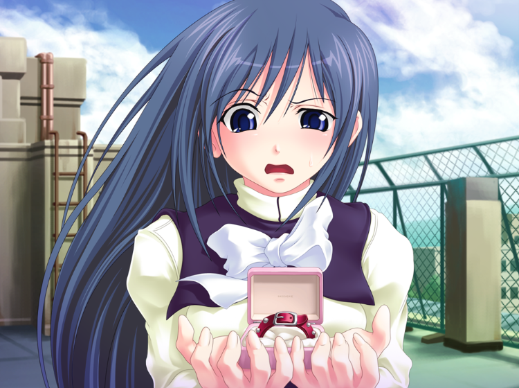 【拔作ADV】奴隷な彼女 PREMIUM BOX Claude3.5汉化版
