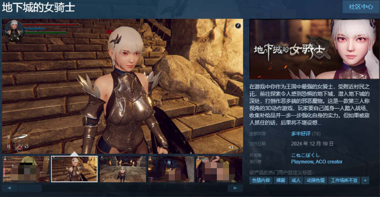 【ACT】[3D]地下城的女骑士 Steam官方中文版