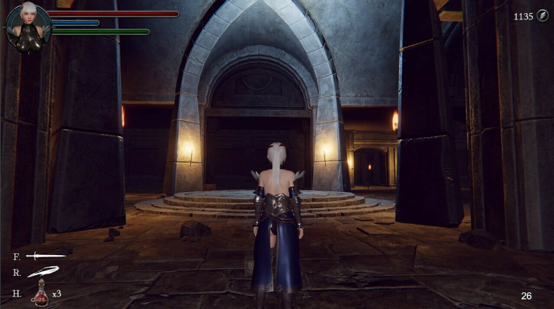 【ACT】[3D]地下城的女骑士 Steam官方中文版