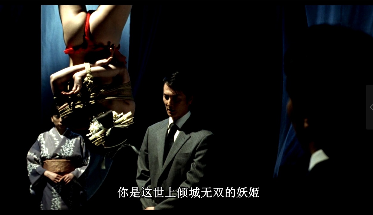 花与蛇，九部合集，全中字 [9V+11G][百度盘]
