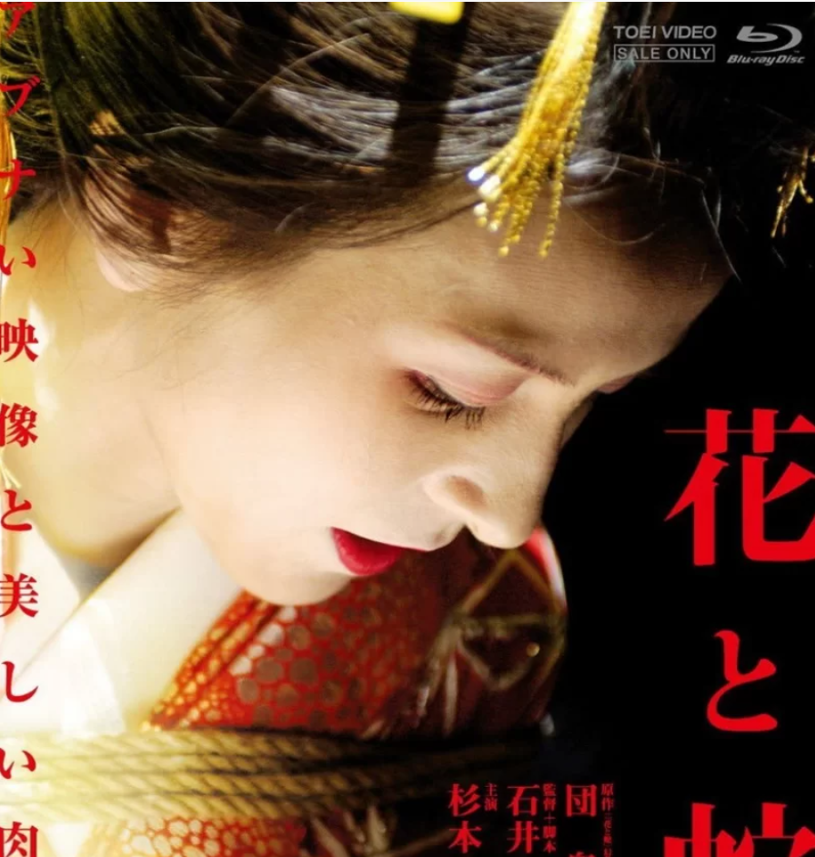 花与蛇，九部合集，全中字 [9V+11G][百度盘]