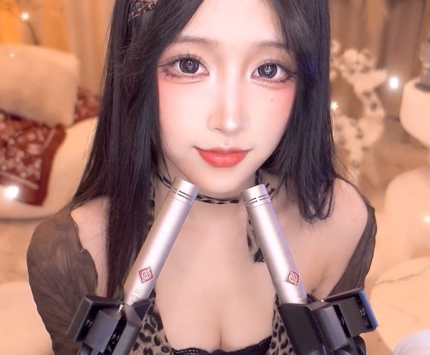 二呆啾 有jiojio  1V260M百度盘