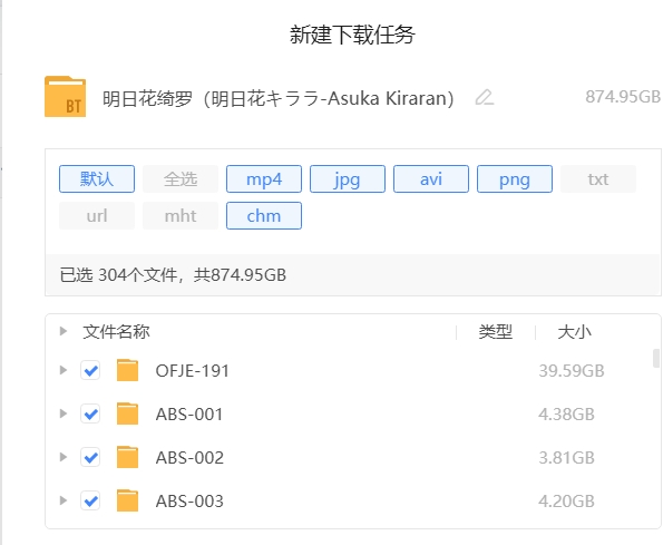 明日花绮罗 874.95G合集