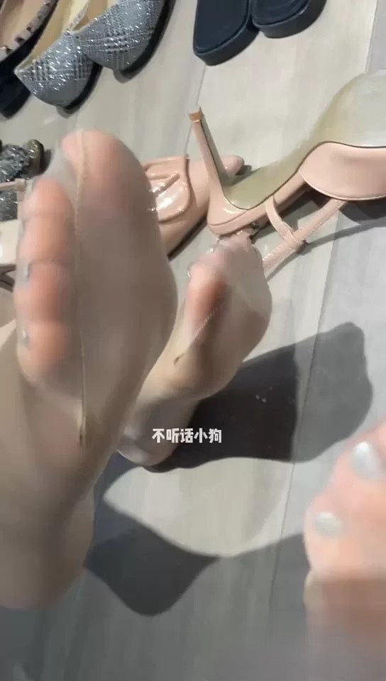 dy不听话小狗 7V286M百度盘