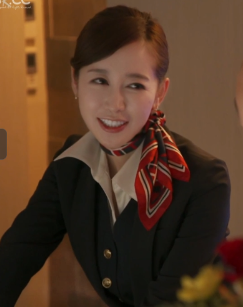 岛国第一美学，优雅空姐