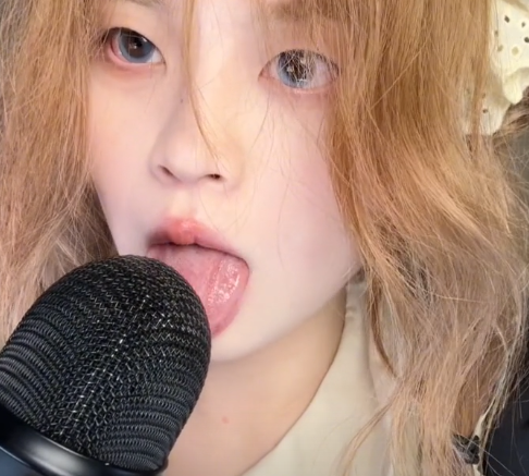 椰椰拿铁 女仆系舔麦 1V207M百度盘