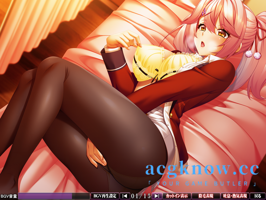 [PC][拔作ADV/汉化/全CG]强制支配 キョウセイ支配 汉化版[4.2G]