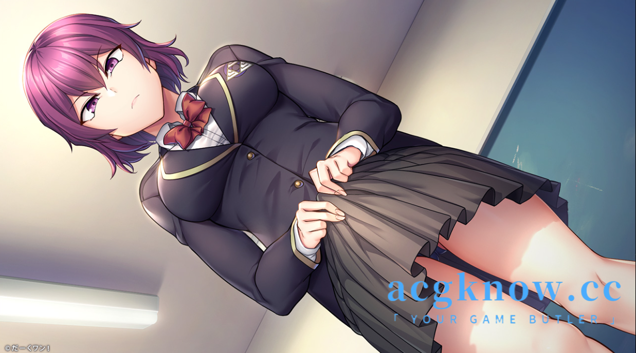 [PC] [日系ADV/汉化/NTR] 催眠性指導 -Secret Lesson 催眠性指导 汉化版 [5G]