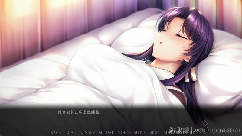 【拔作SLG游戏】催眠学习：Secret Desire 官方中文版+全CG存档