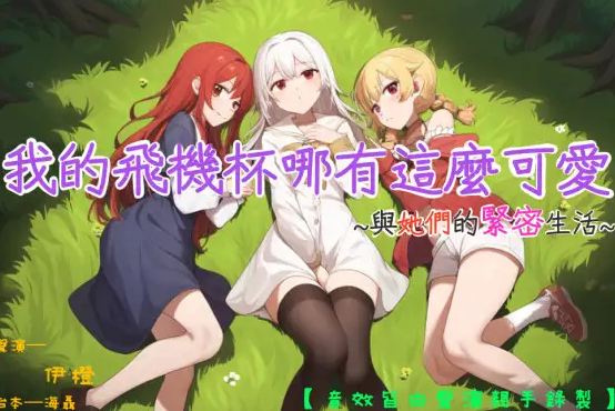 RJ01200075 【三穴一體】我的飛機杯哪有這麼可愛~與她們的緊密生活~ 【6A230M】