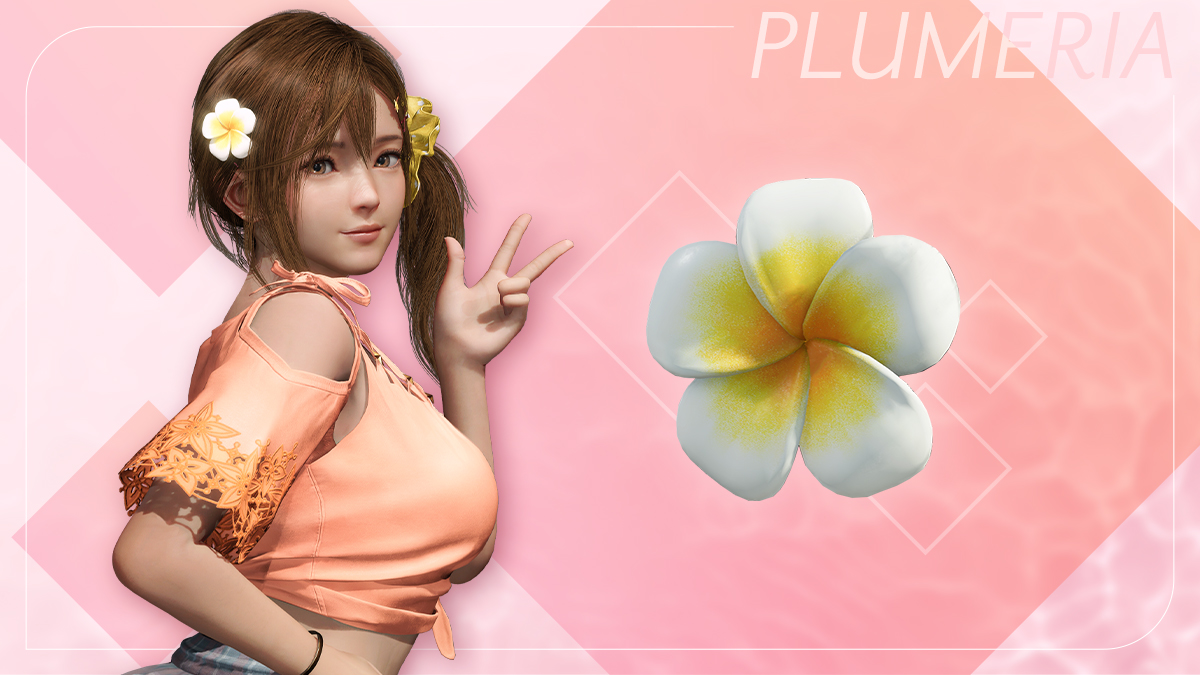 【补】死或生:维纳斯璀璨假期|豪华中文|Build.17764858-1.02+全DLC+预购特典|解压即撸|