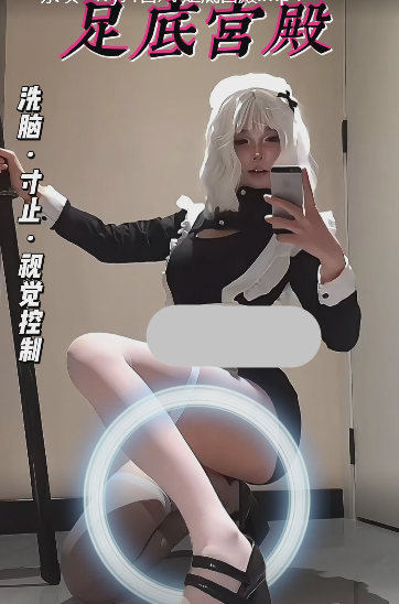 杂项 ivy抖音风 足底宫殿 1V449M百度盘