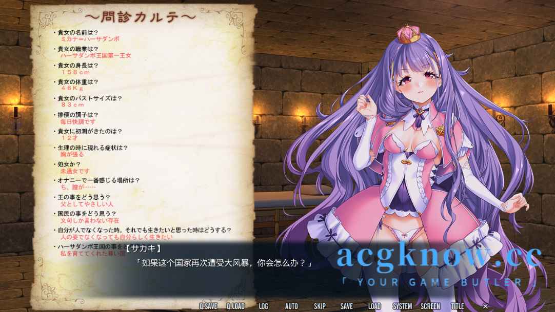 [PC][ADV/汉化/重口/SM]女体狂乱公主 汉化版+全CG存档[1.6G]