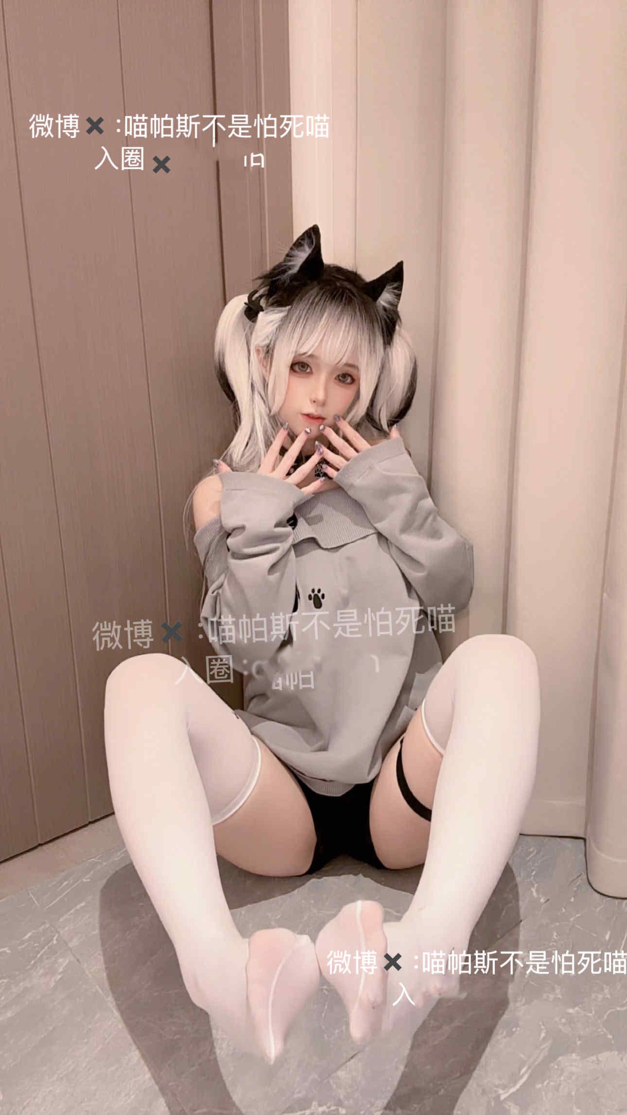 【新】喵帕斯不是怕死喵 – 日常白丝喵【28P】【73.5MB百度云】
