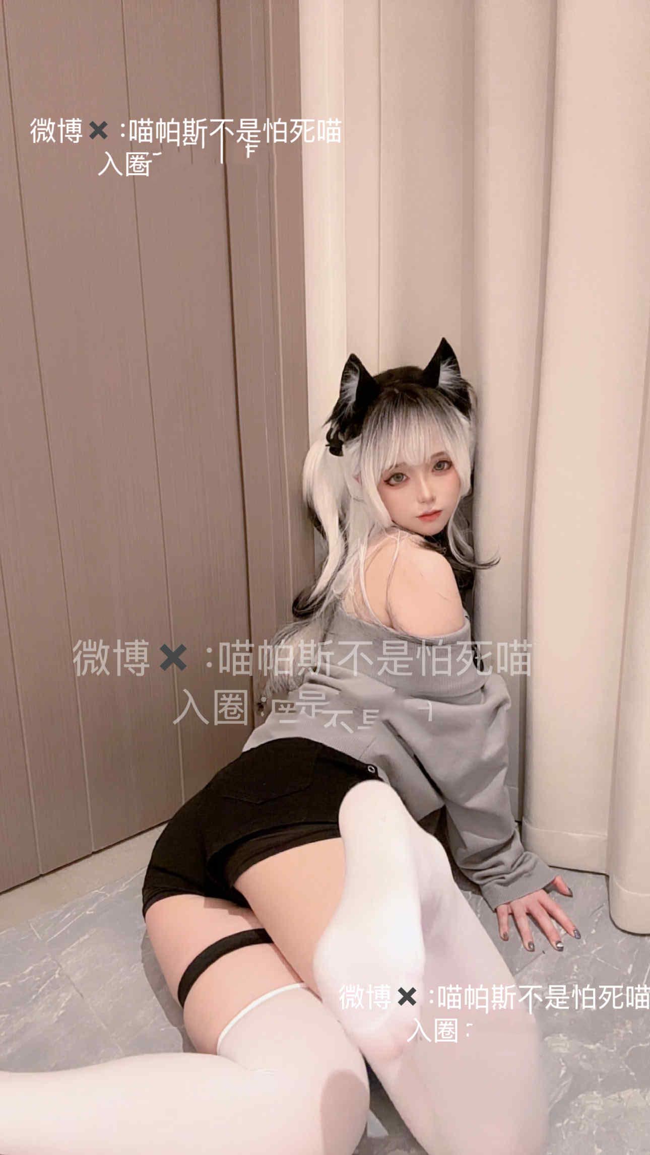 【新】喵帕斯不是怕死喵 – 日常白丝喵【28P】【73.5MB百度云】