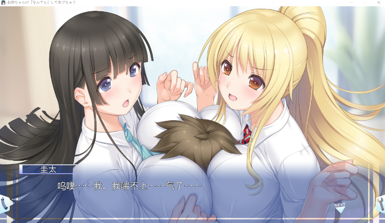 【拔作ADV】お姉ちゃんが「なんでもして」あげちゃう AI汉化版[新汉化]