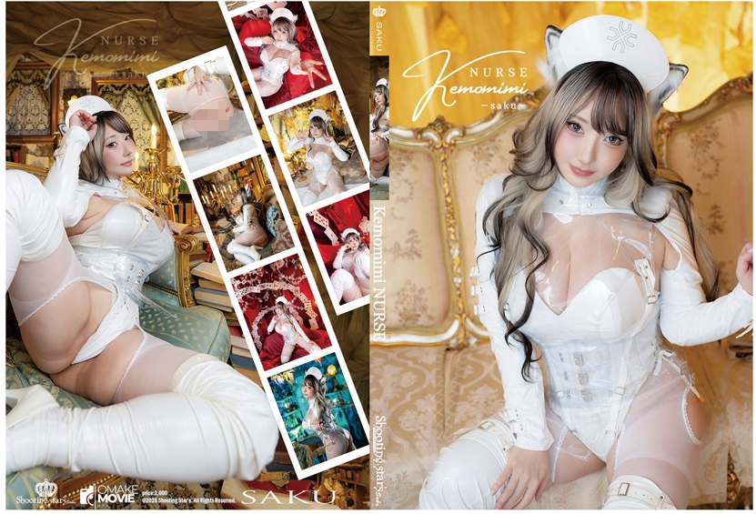 no.1733 [Shooting Stars (Saku)] - Kemomimi Nurse【373P 324MB】