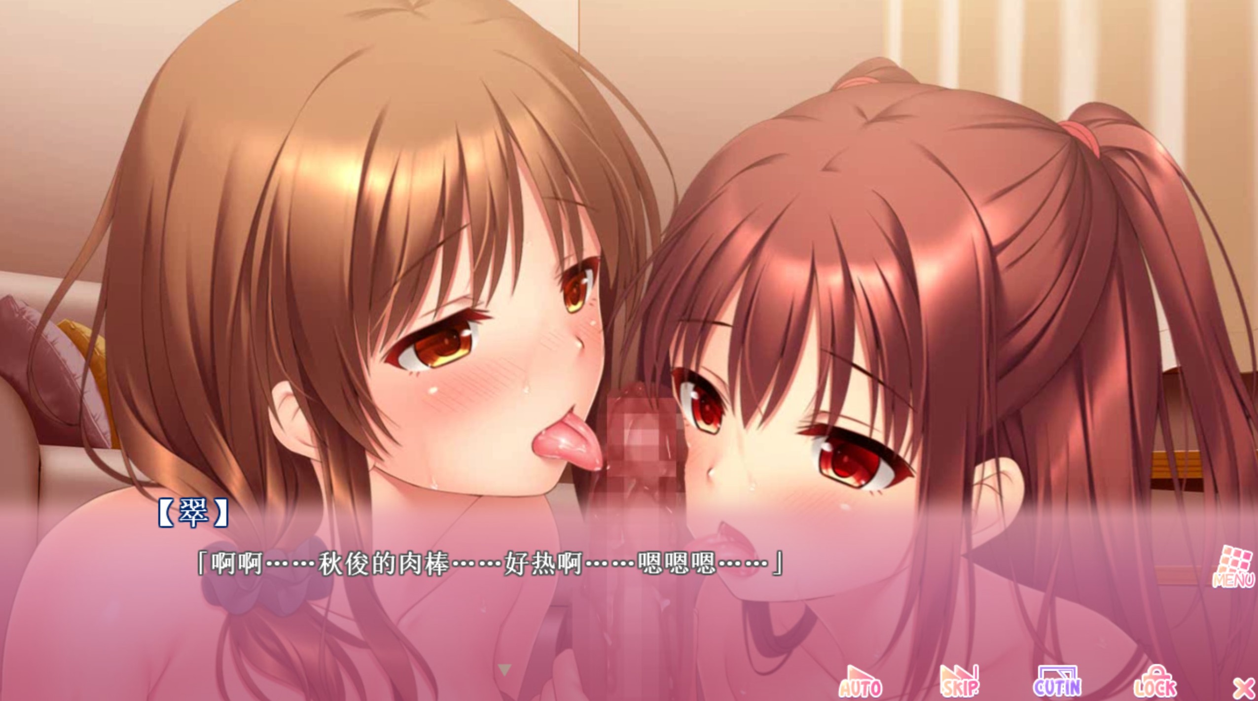 抖M妹妹想要的私人教学 汉化硬盘版+动画+存档