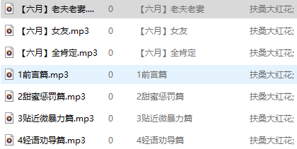 扶桑大红花 6月舰礼 301M百度盘