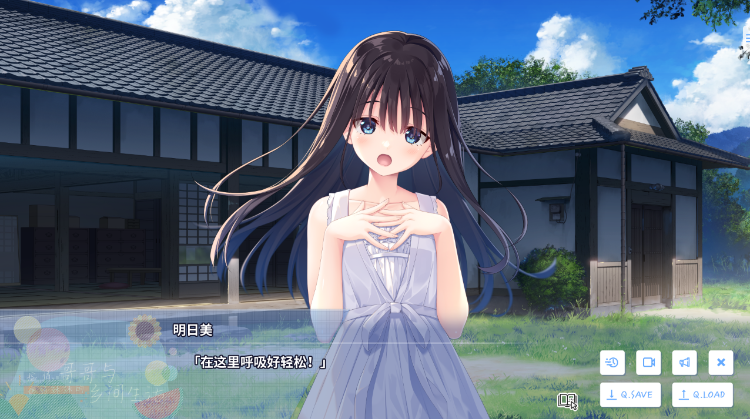 【爆款RPG】[妹系]痴情哥哥与病弱妹妹的乡间生活 Ver1.0 Steam官方中文步兵版