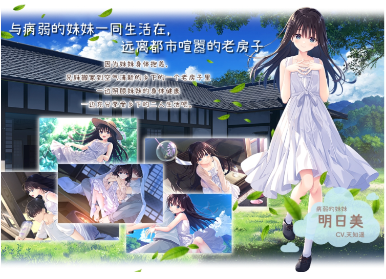 【爆款RPG】[妹系]痴情哥哥与病弱妹妹的乡间生活 Ver1.0 Steam官方中文步兵版
