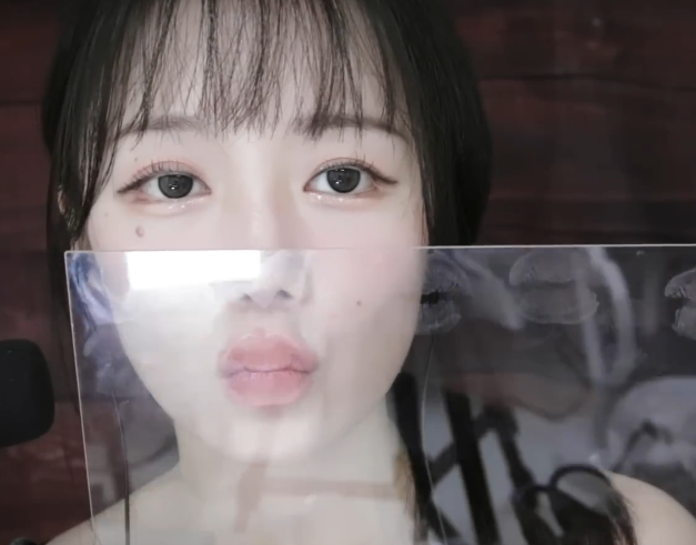 jamonghae ASMR 亚克力板之吻💋 1V313M百度盘