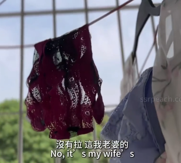 极品台妹-ssrpeach-新 女水电工到宅男家修理洗衣机(1V,622M)