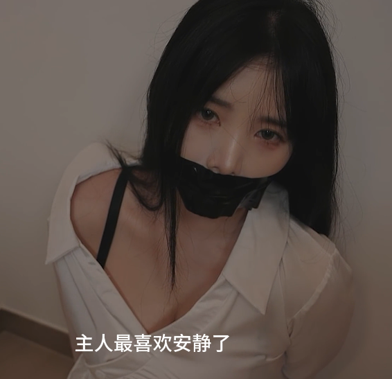 yoonying 病娇AI女仆 1V1.25G百度盘