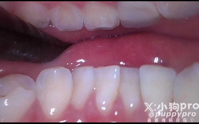 极品嫩妹-puppypro（小狗pro）-新付费福利小合集（2V,382M）