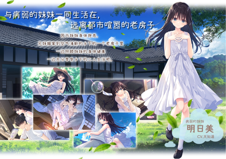 【爆款RPG】[妹系]痴情哥哥与病弱妹妹的乡间生活 Ver1.0 官方中文版 DLC1+2