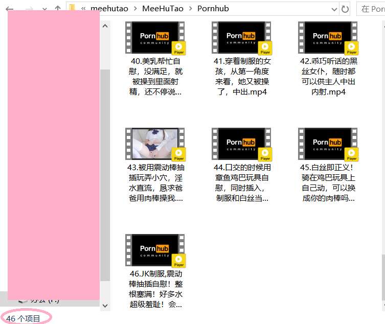 米胡桃meehutaoP站作品与Fansly合集(105v,549P+46.7G)