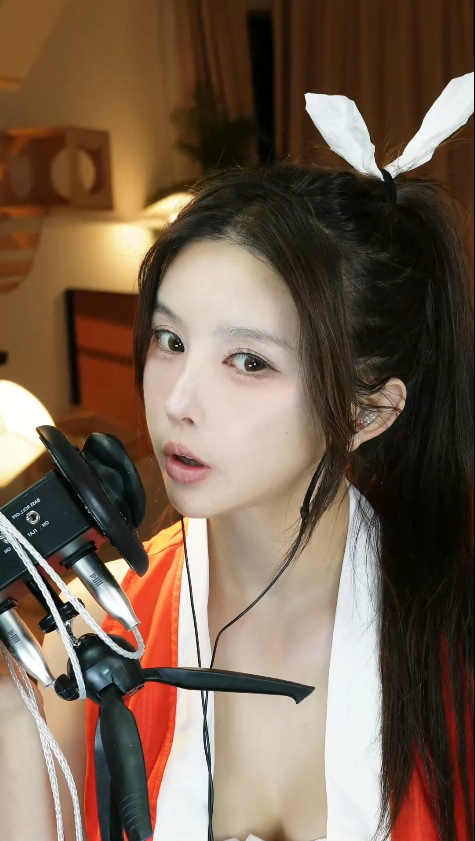 大艺术嘉  不知火舞啄木鸟  1V271M百度盘